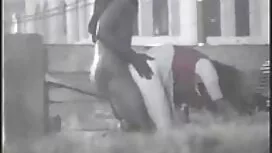 Кукурудза грає на гі ...