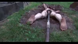 Дівчина, яка ув'язне ...